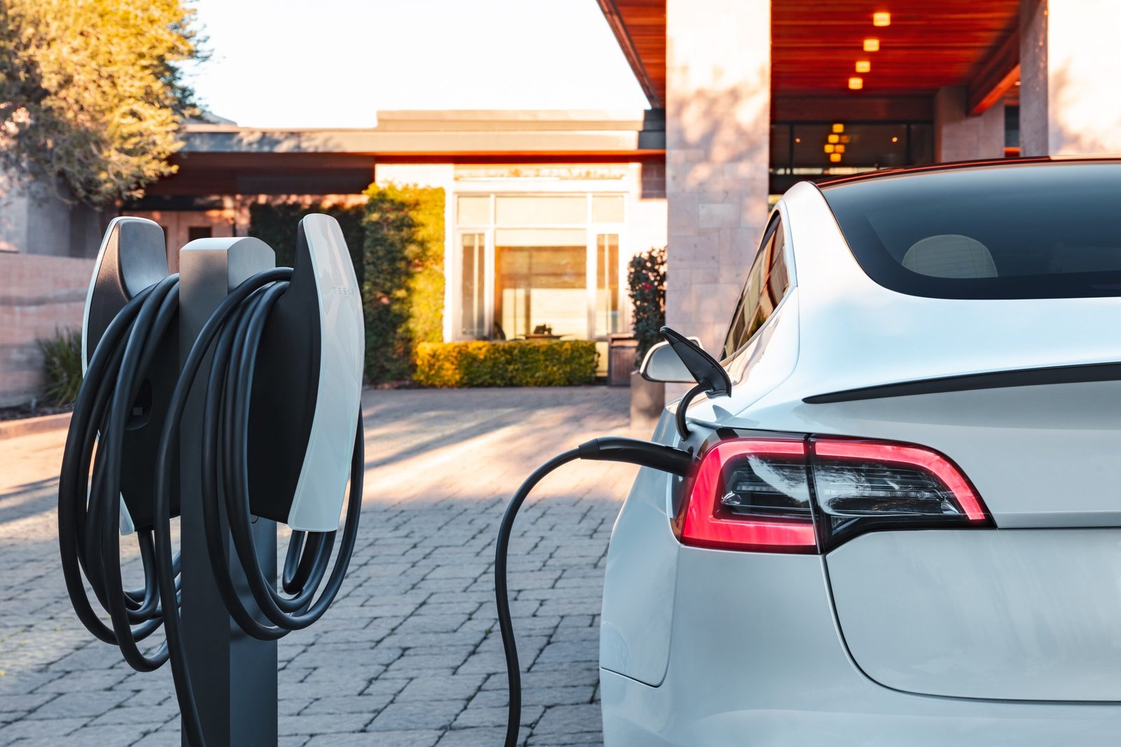 MaxiCharger AC Elite Home 40A [ Buy EV Chargers ] Electric Cars | EV charger | Electric vehicle charger | EV charging station | Home EV charger | MaxiCharger AC Elite Home 40A [ Level 2 EV charger ] Fast EV charger | Smart EV charger | Residential EV charger | Commercial EV charger | MaxiCharger AC Elite Home 50A EV [ Portable EV charger | EV wall charger | Electric car charger | EV charging equipment | EV charging solutions | MaxiCharger AC Elite Home 40A [ EVSE charger ] Best home EV charger | Home electric car charging station | Level 2 home charger | Smart home EV charger | MaxiCharger AC Elite Home 40A [ Level 2 home charger ] Smart home EV charger | Indoor EV charger | Outdoor EV charger | 240V EV charger | MaxiCharger AC Elite Home 50A [ Outdoor EV charger ] 240V EV charger | NEMA 14-50 EV charger | Hardwired EV charger | Plug-in EV charger | ChargePoint Home Flex [ Plug-in EV charger ] Residential charging station | Home charging station for electric vehicles | Commercial EV charging station | ChargePoint Home Flex NEMA 14-50 [ Business EV charging solution ] Fleet EV charging | Workplace EV charging | Public EV charger | Siemens VersiCharge US2 Level 2 30A EV Charger | Business EV charging solution | Fleet EV charging | Workplace EV charging | Public EV charger | Siemens VersiCharge Ultra 50™ VSCULT50SAG | Commercial Level 2 charger | Commercial DC fast charger | Multi-user EV charging | EV charger for apartment | Siemens VersiCharge AC Series 40A Smart Connected EV Charger | EV charging network | EV charger accessories | EV charging cable | EV cable organizer